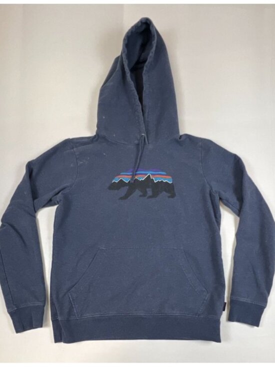 Patagonia Tops - Patagonia Women M Blue Bear Graphic Pullover Hoodie Organic Cotton Blend